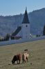 Název souboru=DSC_0319.JPG
Velikost souboru=141KB
Rozměry=803x1200
Datum přidání=21. Duben 2016 DSC_0319.JPG