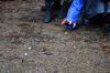 DSC_0532.JPG