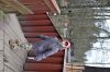 DSC_0599.JPG