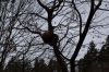 DSC_0602.JPG