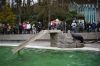DSC_0641.JPG