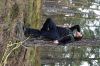 DSC_0773.JPG