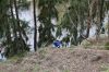 DSC_0776.JPG