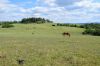 Název souboru=DSC_1268.JPG
Velikost souboru=222KB
Rozměry=1200x800
Datum přidání=30. Červen 2017 DSC_1268.JPG