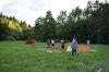 Název souboru=DSC_1417.JPG
Velikost souboru=202KB
Rozměry=1200x800
Datum přidání=27. Září 2017 DSC_1417.JPG
