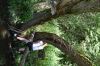 Název souboru=DSC_1555.JPG
Velikost souboru=278KB
Rozměry=1200x800
Datum přidání=27. Září 2017 DSC_1555.JPG