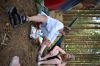 Název souboru=DSC_1597.JPG
Velikost souboru=214KB
Rozměry=1200x800
Datum přidání=27. Září 2017 DSC_1597.JPG