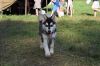 DSC_1628.JPG