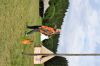 Název souboru=DSC_1696.JPG
Velikost souboru=187KB
Rozměry=1200x800
Datum přidání=27. Září 2017 DSC_1696.JPG