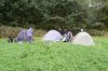 DSC_1924.JPG