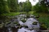 DSC_1954.JPG