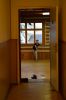 Název souboru=DSC_2138.JPG
Velikost souboru=87KB
Rozměry=800x1200
Datum přidání=30. Říjen 2017 DSC_2138.JPG