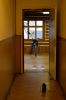 Název souboru=DSC_2140.JPG
Velikost souboru=86KB
Rozměry=800x1200
Datum přidání=30. Říjen 2017 DSC_2140.JPG