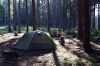 Název souboru=DSC_3086.JPG
Velikost souboru=237KB
Rozměry=1200x800
Datum přidání=25. Červen 2018 DSC_3086.JPG