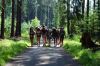 Název souboru=DSC_3087.JPG
Velikost souboru=293KB
Rozměry=1200x800
Datum přidání=25. Červen 2018 DSC_3087.JPG