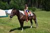 Název souboru=DSC_3167.JPG
Velikost souboru=260KB
Rozměry=1200x800
Datum přidání=28. Červenec 2018 DSC_3167.JPG