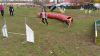 P_20171112_110141.jpg