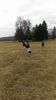 P_20180324_120842.jpg