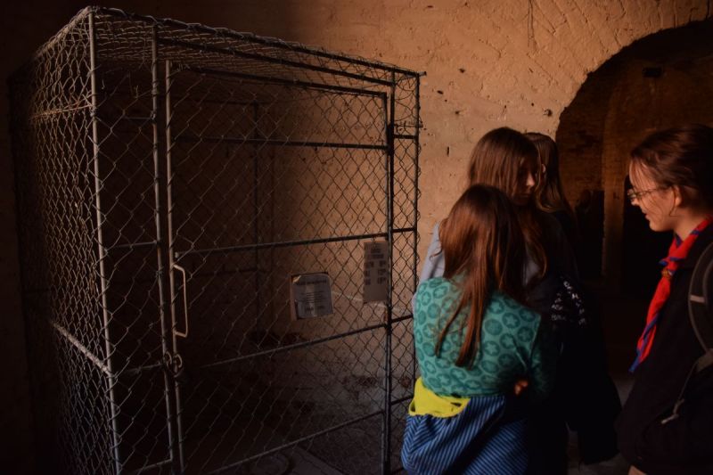 Klikněte pro zobrazení původního (velkého) obrázku