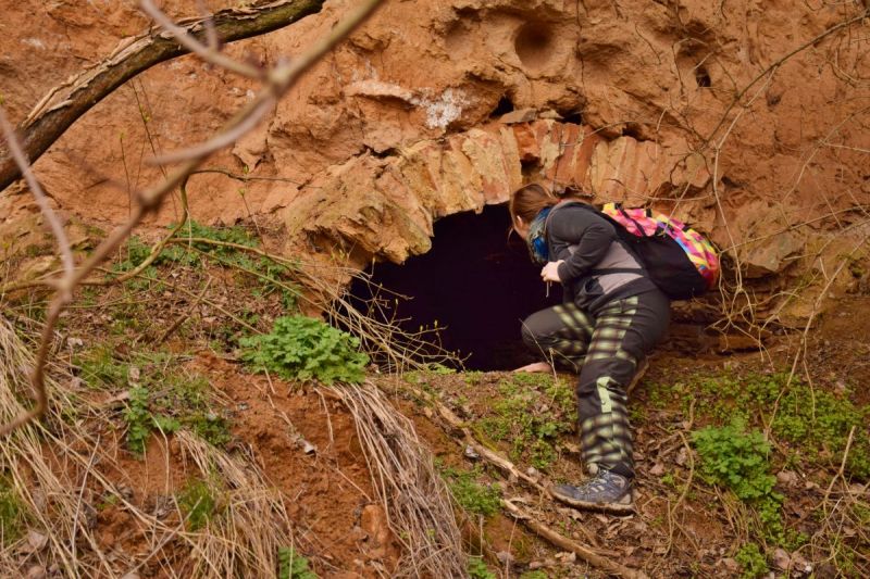 Klikněte pro zobrazení původního (velkého) obrázku