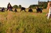 Název souboru=DSC_1753.JPG
Velikost souboru=283KB
Rozměry=1200x800
Datum přidání=12. Srpen 2015 DSC_1753.JPG