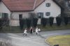 Název souboru=DSC_7812.JPG
Velikost souboru=178KB
Rozměry=1200x800
Datum přidání=10. Srpen 2016 DSC_7812.JPG
