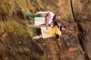Název souboru=DSC_7827.JPG
Velikost souboru=239KB
Rozměry=1200x800
Datum přidání=10. Srpen 2016 DSC_7827.JPG