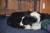 DSC_7933.JPG